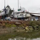 Business 7 image NEWCASTLE MARINA HOLDINGS LTD Marinas & Moorings in Nanaimo BC