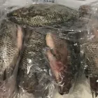 Business 9 image NGOFI TROPICAL FOOD MARKET LTD Supermarkets in Grande Prairie AB