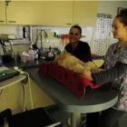 Business 4 image NORTH ROAD ANIMAL HOSPITAL Veterinarians in Coquitlam BC