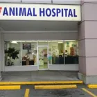 Business 1 image NORTH ROAD ANIMAL HOSPITAL Veterinarians in Coquitlam BC