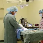 Business 2 image NORTH ROAD ANIMAL HOSPITAL Veterinarians in Coquitlam BC