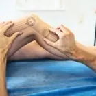 Business 4 image NORTH SHORE SPORTS MEDICINE Physiotherapy Clinics in North Vancouver BC