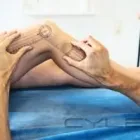 Entreprises 6 image NORTH SHORE SPORTS MEDICINE Physiotherapists dans North Vancouver BC