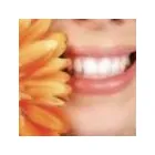 Entreprises 2 image NOSI DENTURE CLINIC Health & Medicine dans Toronto ON