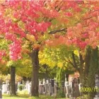 Entreprises 6 image NOTRE DAME CEMETERY Community & Government dans Ottawa ON