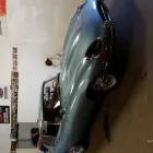 Business 2 image NOVUS GLASS Window Tinting in Halifax NS