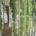 Entreprises 1 image NULEAF FARMS Hydroponics dans Calgary AB