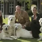 Entreprises 1 image OAKVILLE PORTRAIT PROFESSIONAL STUDIO Photographers & Photo Studios dans Oakville ON