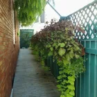 Business 8 image OASIS MARCBENOI Hair Salons in Moncton NB