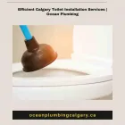 Business 1 image OCEAN PLUMBING Plumbing Services in Calgary AB