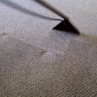 Entreprises 3 image OCTOPUS OPERATIONS LTD Carpet, Curtain & Upholstery Cleaners dans Calgary AB