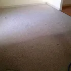 Entreprises 1 image OCTOPUS OPERATIONS LTD Carpet, Curtain & Upholstery Cleaners dans Calgary AB