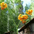 Entreprises 6 image OKANAGAN LOCKSMITH Locksmiths dans Kelowna BC