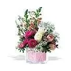 Business 2 image OMNI FLOWERS Shopping in Brampton ON