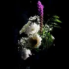 Business 10 image OMNI FLOWERS Shopping in Brampton ON