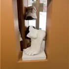 Entreprises 3 image ORTHO SOLUTIONS Orthotics & Prosthetics dans Moncton NB