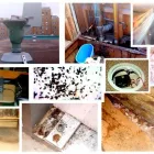 Entreprises 1 image OSHTECH INC Environmental & Ecological Services dans Etobicoke ON