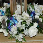 Entreprises 3 image OTTAWA FLOWERS Shopping dans Ottawa ON