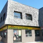 Entreprises 4 image OTTAWA FLOWERS Shopping dans Ottawa ON