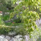 Business 5 image OUR DESIGNS LANDSCAPE ARCHITECTS Real Estate & Home Improvement in North Vancouver BC