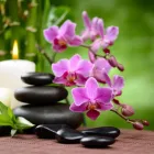 Entreprises 4 image OVERPROOF FOOT LOUNGE Nail Salons & Technicians dans Edmonton AB