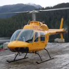 Business 4 image PACIFIC INTERNATIONAL LOG TRADING INC Logging Contractors in Delta BC