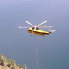 Business 5 image PACIFIC INTERNATIONAL LOG TRADING INC Logging Contractors in Delta BC