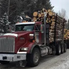 Business 6 image PACIFIC INTERNATIONAL LOG TRADING INC Logging Contractors in Delta BC