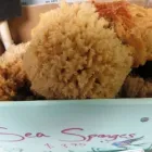 Business 21 image PAINTED TURTLE ART SHOP Shopping in Thunder Bay ON