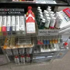 Business 5 image PAINTED TURTLE ART SHOP Shopping in Thunder Bay ON