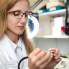 Business 10 image PARKSVILLE HEARING CLINIC Health & Medicine in Parksville BC