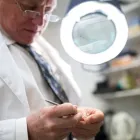 Business 22 image PARKSVILLE HEARING CLINIC Health & Medicine in Parksville BC