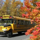 Business 5 image PARSONS & SONS TRANSPORTATION travel & tourism in Conception Bay South NL