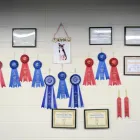 Business 7 image PARTNERS NATURALLY INC Pet Grooming Services in Grande Prairie AB