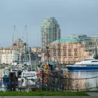 Business 5 image PEARLMAN LINDHOLM LAWYERS Legal & Financial Services in Victoria BC