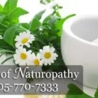 Business 1 image PERSONACARE HEALTH AND WELLNESS CLINIC Physiotherapists in Richmond Hill ON