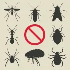 Entreprises 8 image PEST CONTROL MARKHAM EXTERMINATOR Pest Control Equipment & Supplies dans Markham ON