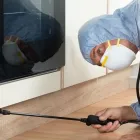 Entreprises 14 image PEST CONTROL MARKHAM EXTERMINATOR Pest Control Equipment & Supplies dans Markham ON