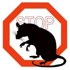 Entreprises 16 image PEST CONTROL MARKHAM EXTERMINATOR Pest Control Equipment & Supplies dans Markham ON