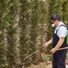 Entreprises 27 image PEST CONTROL MARKHAM EXTERMINATOR Pest Control Equipment & Supplies dans Markham ON