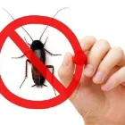 Entreprises 29 image PEST CONTROL MARKHAM EXTERMINATOR Pest Control Equipment & Supplies dans Markham ON