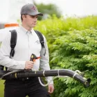 Entreprises 2 image PESTEND PEST CONTROL OTTAWA Pest Control dans Ottawa ON