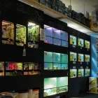 Business 7 image PET CENTRAL Shopping in Gander NL
