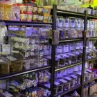 Business 11 image PET CENTRAL Shopping in Gander NL