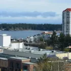 Business 10 image PETRICCA GIORGIO DR INC Health & Medicine in Nanaimo BC