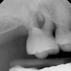 Business 13 image PETRICCA GIORGIO DR INC Health & Medicine in Nanaimo BC