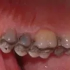 Business 15 image PETRICCA GIORGIO DR INC Health & Medicine in Nanaimo BC