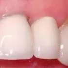 Business 18 image PETRICCA GIORGIO DR INC Health & Medicine in Nanaimo BC