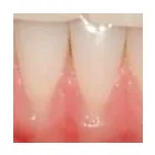 Business 21 image PETRICCA GIORGIO DR INC Health & Medicine in Nanaimo BC