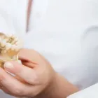 Business 24 image PETRICCA GIORGIO DR INC Health & Medicine in Nanaimo BC